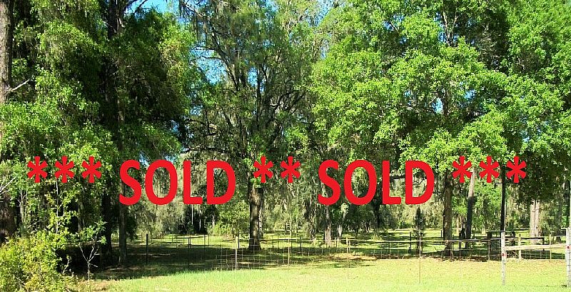 10 Acres In Forest, 3/2 Home, Owner Financing, 8 Stall Barn, Equipment Barns Brooksville, Hernando County, Fl 34602 SOLD